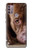 S0519 PitBull Face Case For Motorola Moto G30, G20, G10