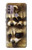 S0977 Baby Raccoons Case For Motorola Moto G30, G20, G10