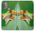 S1047 Little Frog Case For Motorola Moto G30, G20, G10