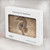 S3214 Seahorse Skeleton Fossil Hard Case For MacBook Air 13″ - A1932, A2179, A2337