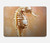 S2674 Seahorse Skeleton Fossil Hard Case For MacBook Pro 13″ - A1706, A1708, A1989, A2159, A2289, A2251, A2338