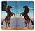 S0934 Wild Black Horse Case For Samsung Galaxy S21 FE 5G