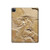 S0380 Dinosaur Fossil Hard Case For iPad Pro 12.9 (2022, 2021, 2020, 2018), iPad Air 13 (2025, 2024)