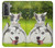 S3795 Grumpy Kitten Cat Playful Siberian Husky Dog Paint Case For Samsung Galaxy S21 5G