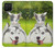 S3795 Grumpy Kitten Cat Playful Siberian Husky Dog Paint Case For Samsung Galaxy A42 5G