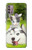 S3795 Grumpy Kitten Cat Playful Siberian Husky Dog Paint Case For Motorola Moto G30, G20, G10