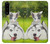 S3795 Grumpy Kitten Cat Playful Siberian Husky Dog Paint Case For Sony Xperia 5 III