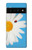 S3043 Vintage Daisy Lady Bug Case For Google Pixel 6 Pro