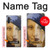 S3853 Mona Lisa Gustav Klimt Vermeer Case For Samsung Galaxy Note 10 Plus