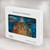 S1249 Blue Sea Turtle Hard Case For MacBook Pro 14 M1-M5 A2442,A2779,A2992,A2918,A3112,A3185,A3401,A3434,A3112