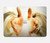 S2546 Hand of God Heaven Hard Case For MacBook Pro 14 M1-M5 A2442,A2779,A2992,A2918,A3112,A3185,A3401,A3434,A3112