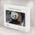 S3793 Cute Baby Panda Snow Painting Hard Case For MacBook Pro 16 M1,M2 (2021,2023) - A2485, A2780