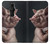 S1273 Crazy Pig Case For Sony Xperia Pro-I