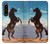 S0934 Wild Black Horse Case For Sony Xperia 1 IV