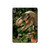 S1452 Trex Raptor Dinosaur Hard Case For iPad Air (2020, 2022), Air 11 (2024,2025,2026), Pro 11 (2022)
