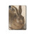 S3781 Albrecht Durer Young Hare Hard Case For iPad Air (2020, 2022), Air 11 (2024,2025,2026), Pro 11 (2022)