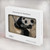 S2210 Panda Fluffy Art Painting Hard Case For MacBook Air 13″ (2022,2024) - A2681, A3113