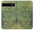 S3748 Van Gogh A Lane in a Public Garden Case For Google Pixel 6a