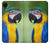 S3888 Macaw Face Bird Case For Samsung Galaxy A03 Core