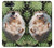 S3863 Pygmy Hedgehog Dwarf Hedgehog Paint Case For OnePlus 5T
