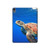 S3898 Sea Turtle Hard Case For iPad Air (2022,2020, 4th, 5th), iPad Pro 11 (2022, 6th)