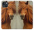 S1595 Beautiful Brown Horse Case For iPhone 14