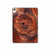 S0603 Wood Graphic Printed Hard Case For iPad 10.9 (2025,2022)