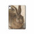 S3781 Albrecht Durer Young Hare Hard Case For iPad 10.9 (2022)