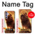 S1957 Lion Aslan Case For Samsung Galaxy A54 5G