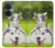 S3795 Kitten Cat Playful Siberian Husky Dog Paint Case For OnePlus Nord CE 3 Lite, Nord N30 5G