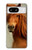 S1595 Beautiful Brown Horse Case For Google Pixel 8