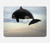 S1349 Killer whale Orca Hard Case For MacBook Air 15″ (2023,2024,2025) - A2941, A3114, A3241