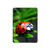 S0263 Ladybug Hard Case For iPad 10.2 (2021,2020,2019), iPad 9 8 7