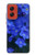 S0782 Forget me not Case For Motorola Moto G Stylus 5G (2024)