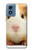 S1619 Cute Guinea Pig Case For Motorola Moto G Play 4G (2024)