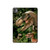 S1452 Trex Raptor Dinosaur Hard Case For iPad Pro 11 (2024,2025)