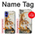 S2751 Chinese Tiger Brush Painting Case For iPhone 16