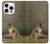 S1241 Ballet Case For iPhone 16 pro