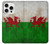 S2976 Wales Football Soccer Flag Case For iPhone 16 pro