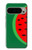 S2383 Watermelon Case For Google Pixel 9 Pro