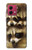 S0977 Baby Raccoons Case For Motorola Moto G84