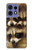 S0977 Baby Raccoons Case For Motorola Edge 50 Pro
