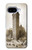 S3046 Old New York Flatiron Building Case For Google Pixel 9a