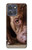 S0519 PitBull Face Case For Motorola Moto G Power (2025,2026)