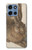 S3781 Albrecht Durer Young Hare Case For Motorola Moto G 5G (2025)