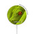 S0785 Green Snake Magnetic Wireless Charger Pad with MagSafe 15W for iPhone 16 15 14 13 12