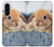 S0242 Cute Rabbit Case For Samsung Galaxy A56