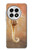 S2674 Seahorse Skeleton Fossil Case For OnePlus 13