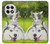 S3795 Kitten Cat Playful Siberian Husky Dog Paint Case For OnePlus 13R