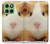 S1619 Cute Guinea Pig Case For Motorola Edge 60